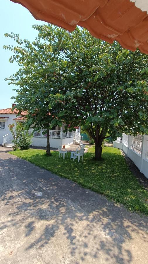 Vasiliki'S Guest House Vergia Exterior photo